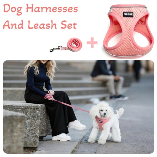 Dog Harness and Leash Set, No Pull Soft Mesh Pet Harness -in Puppy Pet Vest Harnesses for XS,Small,Medium Dogs and Cats Pink-M - color: Pink, size: M (Chest: 15.5-17.5")