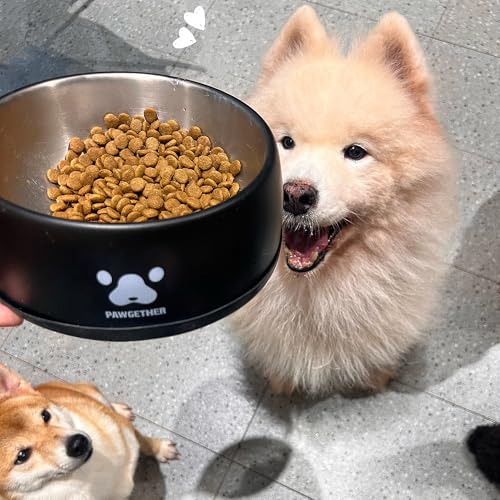 PAWGETHER® Stainless Steel Dog Bowls, Dog Food and Water Bowl Non-Slip Easy to Clean Dishwasher Safe for Puppy Small Medium Dogs Cats Black 34oz - color: Black (34oz)