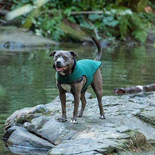 Furhaven Reversible Medium Dog Coat, Washable & Insulating w/ Leash Access - Faux Fur & Quilted Fleece Flex-Fit Jacket - Black/Green, Medium - color: Black/Green, size: Medium