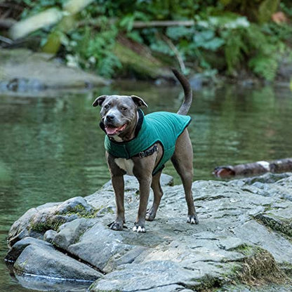 Furhaven Reversible Medium Dog Coat, Washable & Insulating w/ Leash Access - Faux Fur & Quilted Fleece Flex-Fit Jacket - Black/Green, Medium - color: Black/Green, size: Medium