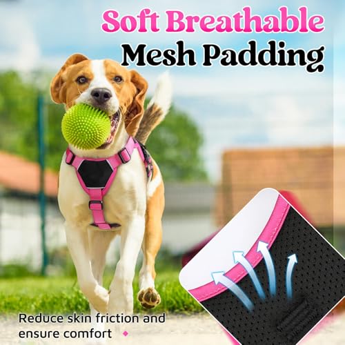 rabbitgoo Escape Proof Dog Harness Small Sized Dog, Soft Padded Full Body Pet Harness, Reflective Adjustable Vest with Lift Handle and Leash Clip for Walking Hiking Training, Pink & Black, S - color: Pink & Black, size: Small (Pack of 1)
