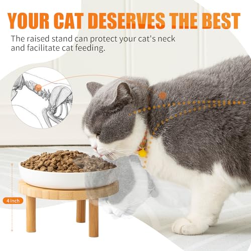 Lusifaco Shallow Elevated Cat Bowls,5.9 Inch Wide Raised Ceramic Cat Dishes with Bamboo Stand, Whisker Friendly Pet Water or Food Plates Feeding Station for Indoor Cats, Kitten(Blue,Set of 1) - color: Blue