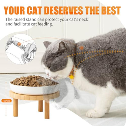Lusifaco Shallow Elevated Cat Bowls,5.9 Inch Wide Raised Ceramic Cat Dishes with Bamboo Stand, Whisker Friendly Pet Water or Food Plates Feeding Station for Indoor Cats, Kitten(Blue,Set of 1) - color: Blue