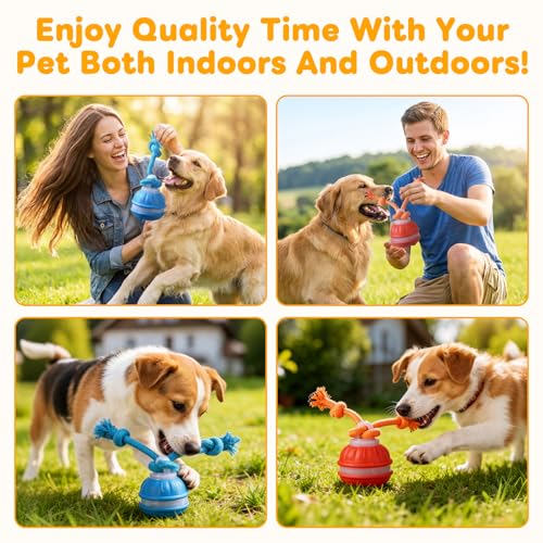 Interactive Dog Toys,Upgraded Motion Activated Rolling Dog Ball Toy for Small/Medium Dogs,Smart Automatic Rolling Toy with USB Rechargeable,Interactive Dog Balls(Orange) - color: Orange