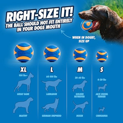 Chuckit! Ultra Squeaker Balls for Dogs, Floating Water Pet Toys, Durable Rubber Pet Toy, Bouncy Squeaky Fetch Balls For Dogs, Pack of 2, Medium (2.5") - size: Medium, style: Squeaker