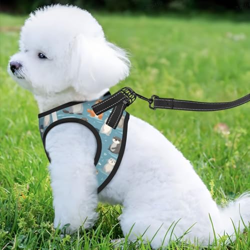 Otters Pet Harness Escape Proof Dog Harness Adjustable Mesh Padded Reflective Dog Vest Harness and Leash Set Large - color: Style 3, size: Large