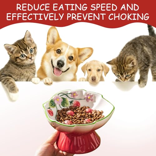 Ceramic Strawberry Elevated Cat Bowls, Tilted Raised Pet Dish for Anti Vomit, Spine Protection, Whisker Friendly - Excellent Raised Food and Water Bowl for Indoor Cats, Flat-Faced Cats (Red) - color: Red