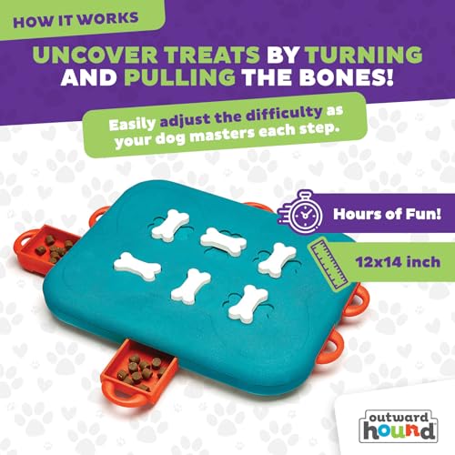 Outward Hound by Nina Ottosson Dog Casino Treat Puzzle Enrichment Toy, Level 3 Advanced, Turquoise - color: Dog Casino (Blue, Orange)
