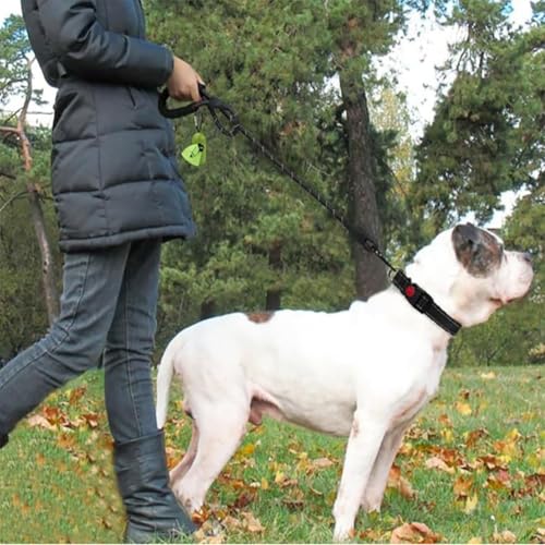 Dog Leash with Soft Padded Handle & Silver Reflective Strips - 24-Inch Heavy Duty Nylon Dog Lead, Anti-Chew Layer, 360° Swivel Clip for Tangle-Free Walking (Black)