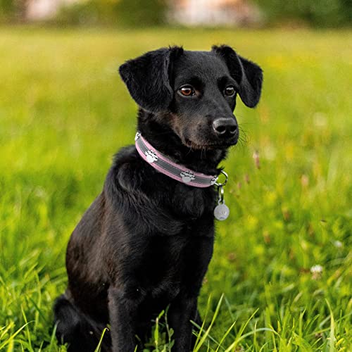 PETCARE Reflective Dog Collar with Cute Paw Rivet Studded Funny Soft PU Leather Adjustable Puppy Dog Collars for Small Medium Large Dogs Cats (Pink,XX-Large) - color: Pink, size: XXL( Neck 17.71"-20.86")