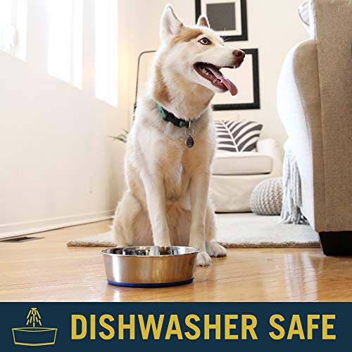 OurPet's DuraPet Premium Dishwasher Safe Stainless Steel Dog Bowl for Food or Water [Multiple Sizes for Small to Large Dogs] in Traditional or Wide Base Design - 8 CUP - size: 8 Cups