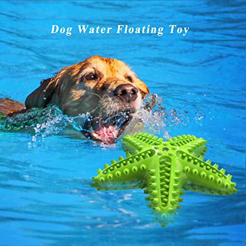Squeaky Dog Toys - Starfish Natural Teeth Cleaning Toy for Small & Medium Dogs (Green) - color: Starfish Green