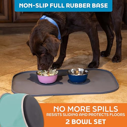 Master Pet Supply Stainless Steel Dog Bowls Set of 2 (16 Oz Each) with Non-Slip Rubber Base - Aqua Sky - Basic Dog Food Bowl Water & Food Bowls for Small Medium Large Dogs & Cats, Metal Dish - color: Aqua Sky, size: 2 Cups (16 Oz) 2 Pack