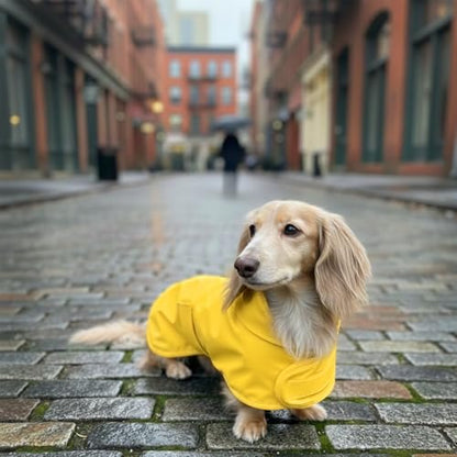 Dachshund Raincoat - Waterproof & Windproof Dog Jacket for Long Weiner Dogs, Adjustable Fit, Harness Hole - Yellow, X-Small - size: X-Small