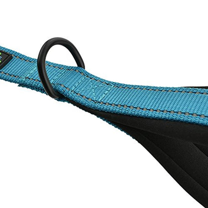 Wagtime Club Double Handle Dog Leash, 6ft Long Heavy Duty Dog Leash with Paded Traffic Handles for Extral Control and Training, Dual Handles Leads, Large Medium Small Dogs (Reflective Bright Blue) - color: Reflective Bright Blue