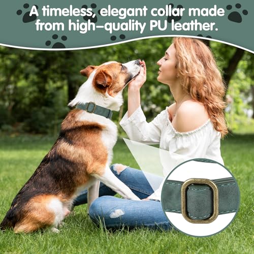 TDTOK Soft PU Leather Dog Collar, Classic Leather Collar for Small Medium Large Dogs with Quick Release Metal Buckle, Durable & Adjustable Fit 10-23" Neck - color: Green, size: S
