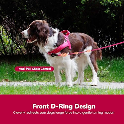 Didog No Pull Dog Harness with Soft Mesh Padded,Reflective & Quick Fit Light Weight Dog Strap Vest Harness,Easy for Walking Training (S:Chest 18-22", Mesh-Hot Pink) - color: Hot Pink, size: S: Chest 18-22", Fit 19-29 lbs