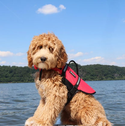 ZippyPaws Adventure Dog Life Jacket - Dog Life Vest for Swimming & Boating, Fits Small Pets, Lightweight Flotation Device for Water Safety, Padded Handle, Adjustable Fit, 6-10" - XX-Small, Red - size: Extra Extra Small
