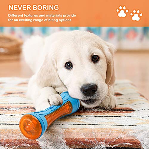 Dog Squeaky Toys, Pool & Beach Toys for Interactive Fetch & Play, TPR