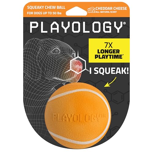 Playology Dog Toys | Squeaky Chew Ball - Bouncy Durable Floating Fetch Ball for Dogs | Medium Cheddar Cheese Scented Toy - Easy to Clean and Made from Non Toxic Materials - size: Medium, style: Cheddar Cheese