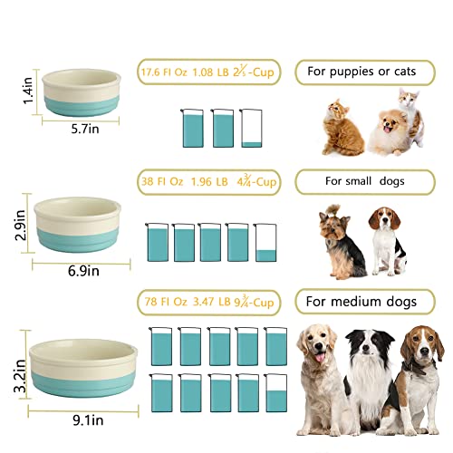 Sweejar Ceramic Dog Bowls, Dog Food Dish for Small Dogs and Cat, Heavy Duty Porcelain Pet Bowl for Canned Food and Water 17 Fl Oz （Turquoise） - color: Turquoise, style: Two-tone,5.5"x 2.2"(16 Fl Oz)