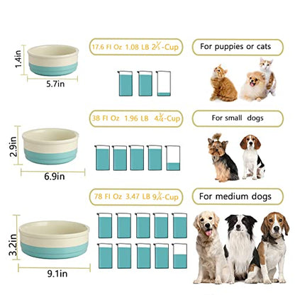 Sweejar Ceramic Dog Bowls, Dog Food Dish for Small Dogs and Cat, Heavy Duty Porcelain Pet Bowl for Canned Food and Water 17 Fl Oz （Turquoise） - color: Turquoise, style: Two-tone,5.5"x 2.2"(16 Fl Oz)
