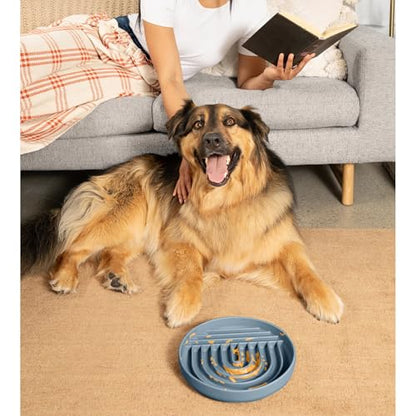 Should We Go? Slow Feeder for Dogs & Puppies, The Slowdown Bowl Silicone Slow Eating, Modern Lick Mat Design, Reduces Gulping, Fits 2.5 Cups, 9.5” Across x 1.5” Tall, Mealtime Challenge, Large-Ocean - color: Ocean - Rainbow Design, size: Large (9.5” Acros