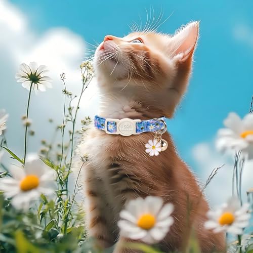 2 Pack Cute Cat Collars - Blue Plaid & Floral Breakaway Cat Collars, Adjustable Boy Girl Kitten Safety Collar for Small Dogs Puppy, Everyday Pet Collar with Bell & Pendant - color: Blue Plaid&Floral