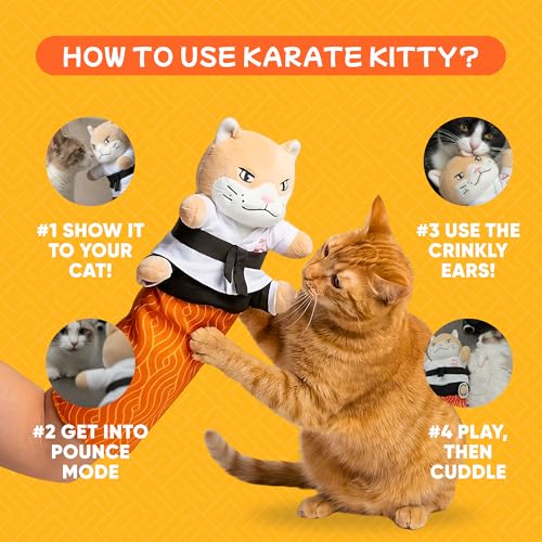 KITTY KURLZ & Karate Kitty Active Indoor Cat Play Bundle – Interactive Ball Track Scratcher + Cat Wrestling Glove with Protective Arm Sleeve