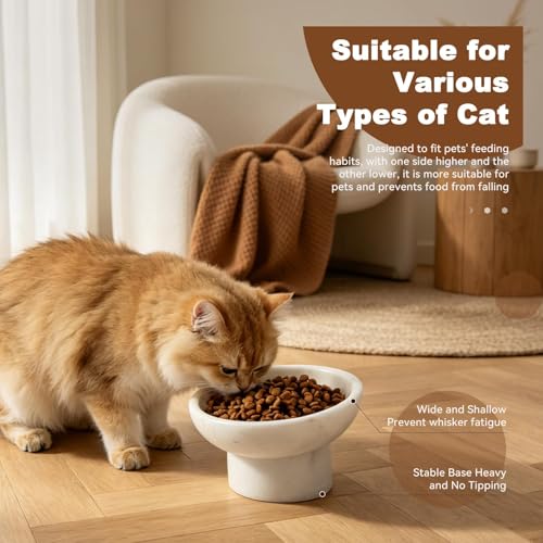 Karibiber Marble Elevated Cat Bowl, White Weighted Raised Cat Food & Water Bowl, Whisker-Friendly Stone Cat Dish with Non-Slip Stand, Heavy Water Bowls for Small Dog - color: White