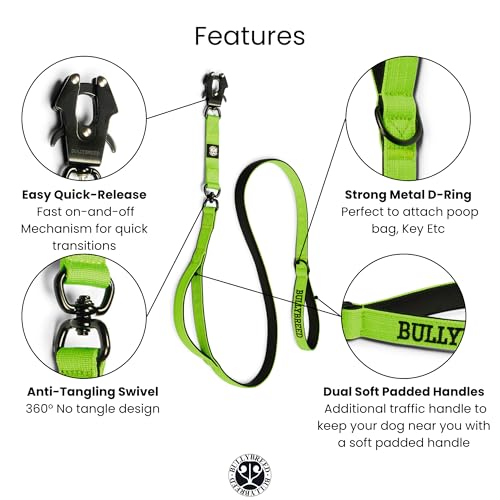 BULLYBREED | Heavy Duty Dog Leash, Tactical Dog Leash, Quick Release Frog Clip with Anti-Tangling Swivel System for Large Dogs that Pull with Soft Double Handles (5 FT Long, Neon Green) - color: Neon Green