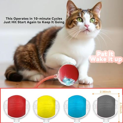 Speedy 2.0 Tail Interactive Cat Toys for Indoor Cats, Automatic Cat Toy with Elastic Mesh Tail, Electric Rolling Ball on Carpet, Chirping and Motion Activate Cat(Grey) - color: Grey