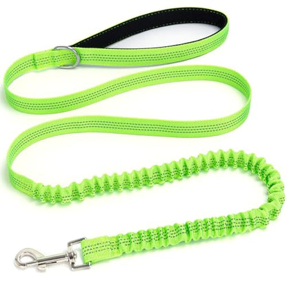 Bungee Dog Leash- 5FT Shock Absorbing & Reflective Nylon Leash | Anti-Pull Training for Small/Medium Dogs | 2cm Wide, 6 Colors (Green) - color: Green