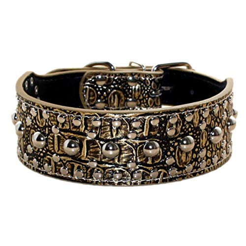 New Unisex Studded Leather Dog Collars Medium Large Dog Necklace for Pitbull Doberman Sizes M L(Gold Brown,M) - color: Gold Brown, size: M