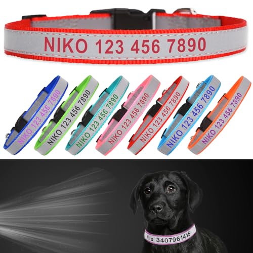 Reflective Personalized Dog Collar - Custom Embroidered Pet Name and Phone Number with Adjustable Nylon Buckle Collars in 5 Sizes XS to XL for Boy and Girl Dogs,Puppy,Red - color: Red