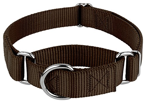 Country Brook Petz - Martingale Dog Collar - Heavy-Duty Training Collar with No Buckle - Service Dog Collar for All Pups - 20 Vibrant Colors (Brown, 3/8 Inch, 3XS) - color: Brown, size: 3XS (Pack of 1)