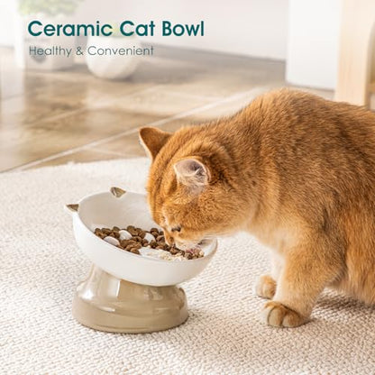 vancasso Raised Slow Feeder Cat Bowls, Ceramic Elevated Cat Bowls Wet Food, Cats Food Bowl Slow Feeder for Indoor Cats (Brown) - color: Brown