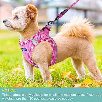 haapaw Dog Harness with Leash Set, No Pull Adjustable Reflective Step-in Puppy Harness with Thickened Padded Vest for Extra-Small/Small Medium Dogs - color: Pink, size: S