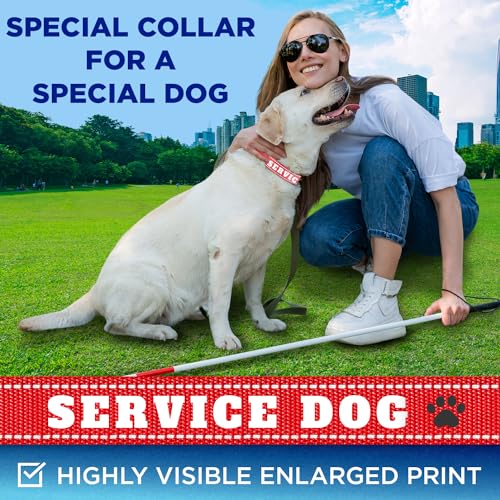 TECEUM Reflective Pet Collar – Red - Service Dog – XS – Extra Soft Padding – Basic Nylon Dog Collar – Quick Release Buckle – Fits Small, Medium and Large Dogs, Puppies, Cats - color: Red - Service Dog, size: X-Small