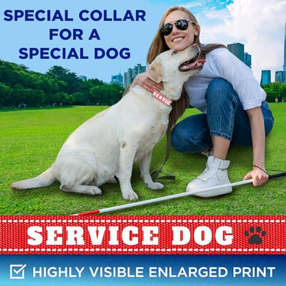 TECEUM Reflective Pet Collar – Red - Service Dog – XS – Extra Soft Padding – Basic Nylon Dog Collar – Quick Release Buckle – Fits Small, Medium and Large Dogs, Puppies, Cats - color: Red - Service Dog, size: X-Small