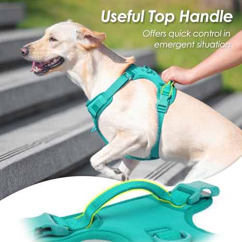 No Pull Dog Harness, Puppy Vest with Front Clip for Small Medium Large Sized Dog(MARRS Green,S) - color: MARRS Green, size: S(Neck:15.7-22.0", Chest:17.3-24.8")