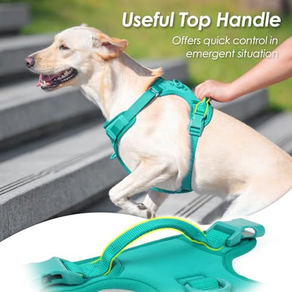 No Pull Dog Harness, Puppy Vest with Front Clip for Small Medium Large Sized Dog(MARRS Green,M) - color: MARRS Green, size: M(Neck:18.5-25.6", Chest:20.9-30.7")