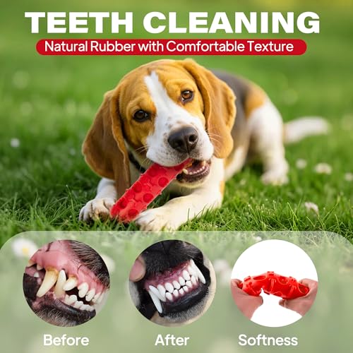 Fida 2-in-1 Puppy Teething Toys, Natural Rubber Chew Toys for Dogs to Keep Them Busy & Plush Toys with Crinkle Leaves, Interactive Dog Toys for Small Medium Breeds and Puppies.(Chilly) - color: Red Chilly