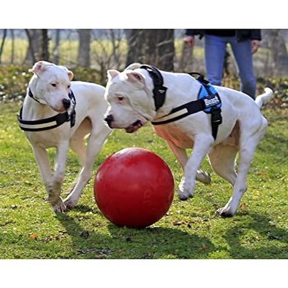 Jolly Pets Push-n-Play Ball Dog Toy, 14 Inches/Extra-Large, Red All Breed Sizes - color: Red, size: 14 Inches/ Extra-Large