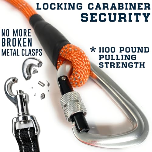 Heavy Duty Dog Leash with 1100LB Rated Locking Carabiner – 6FT Climbing-Inspired Reflective Rope Leash for Large & Medium Dogs that Pull – Padded Handle (Pink) - color: Pink