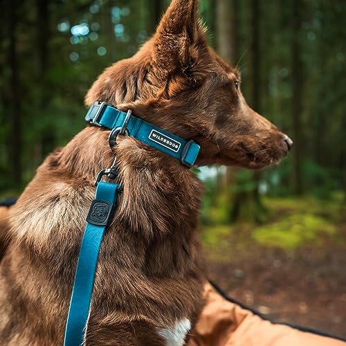 Wilderdog Waterproof Dog Collar - Repels Water & Dirt - Small 11"-15" - Pacific Blue - color: Pacific Blue, size: Small
