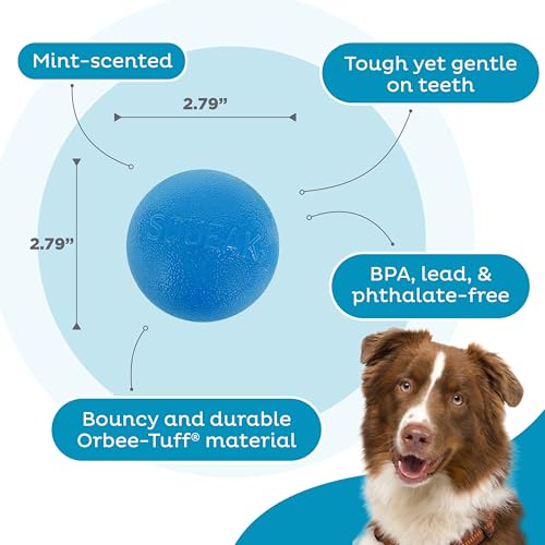 Outward Hound by Planet Dog Squeak Ball Bouncy Fetch Dog Toy, Blue - color: Blue Squeak Toy