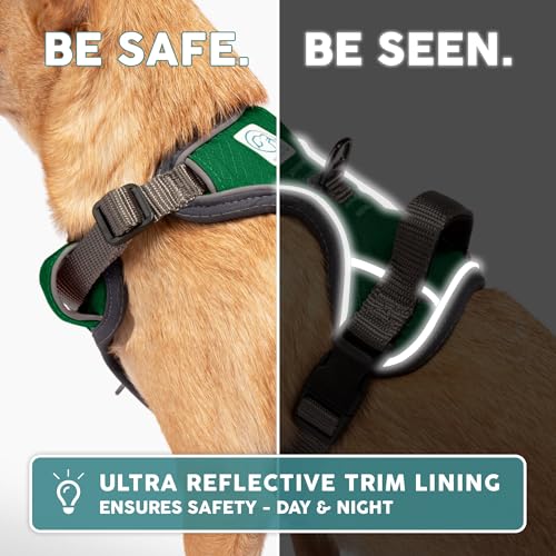 Embark Adventure Small Dog Harness – No-Pull, Reflective Trim, Military-Grade Nylon, Front Clip with Gel-Lined Handle - color: Green, size: S