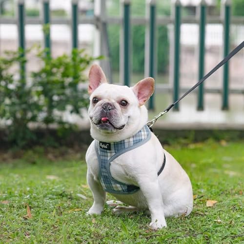PUPTECK Soft Mesh Dog Harness and Leash Set Pet Puppy Cat Comfort Padded Vest No Pull Harnesses, Sky Blue, XS - color: Sky Blue, size: XS (NECK: 10", CHEST: 10"-14")