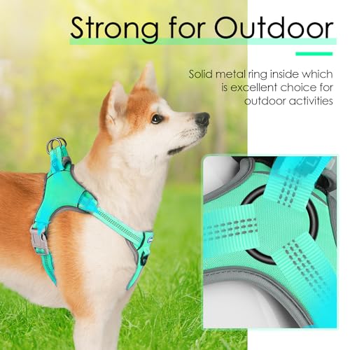 ThinkPet No-Pull Harness, Escape Proof Step-in Reflective Dog Vest Adjustable Breathable Halter Harness with Back/Front Clip for Better Control - color: Teal, size: Medium